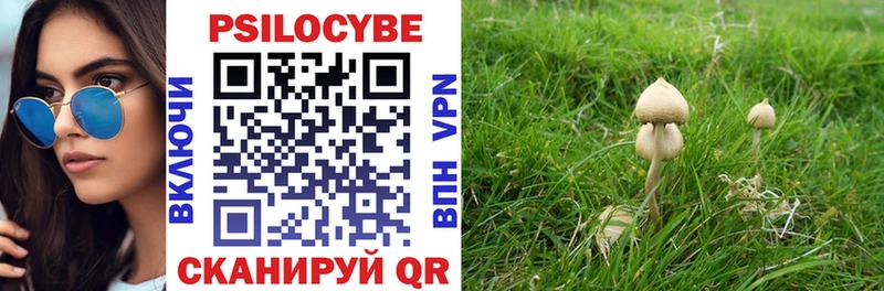площадка телеграм  Ростов-на-Дону  Галлюциногенные грибы Psilocybe 