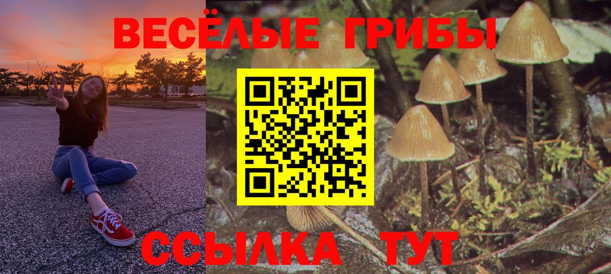 Ростов-на-Дону  Галлюциногенные грибы Cubensis  Вход с VPN 