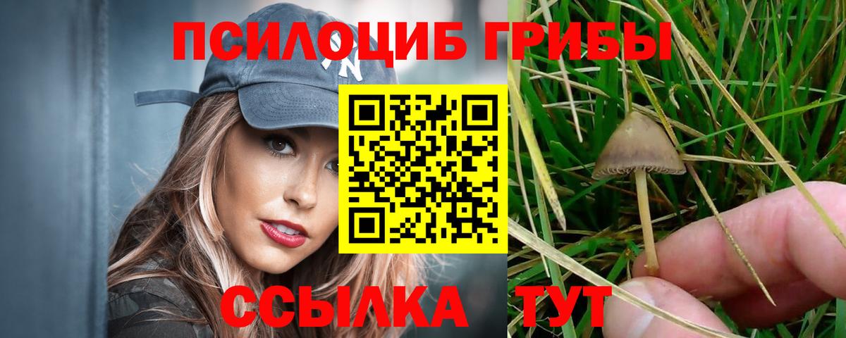 Псилоцибиновые грибы Psilocybine cubensis Ростов-на-Дону